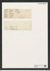 Lysigonium muniliforme var.. hispidum D.T. (de-Toni-Nr.: Genus 211, Species 5298) Zeichnungen Sammlung Grunow (NHMW-BOT-W0378892)